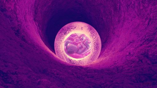 Unborn baby in the womb